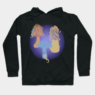 Salamander Mushrooms on the Moon Hoodie